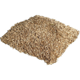 Travní směs Johnsons SPORTS lawn 1 kg